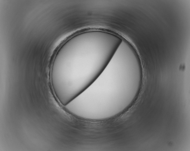 X0000111120935200906301038