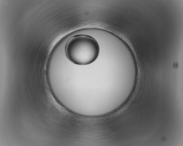 X0000111120936200906301038
