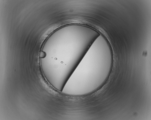 X0000111120938200906301038