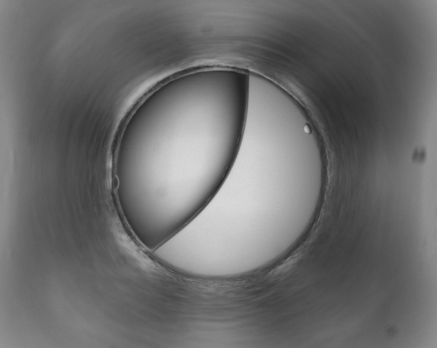 X0000111120940200906301038