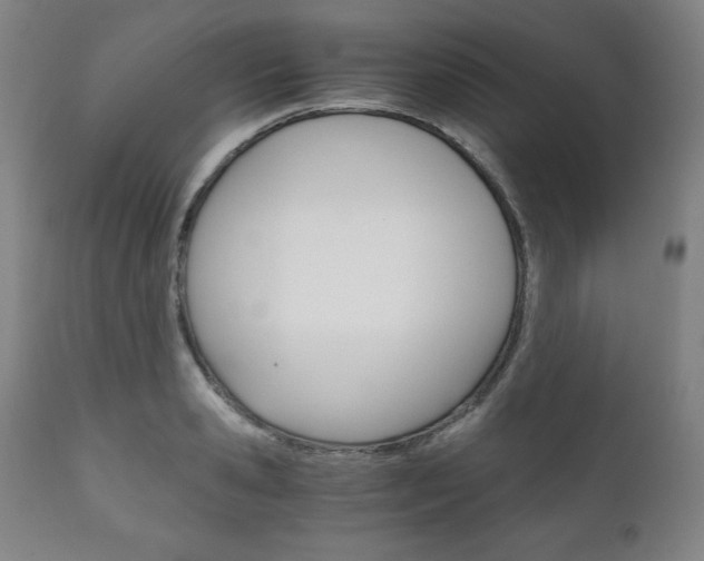X0000111120941200906301038