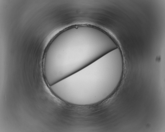 X0000111120943200906301038