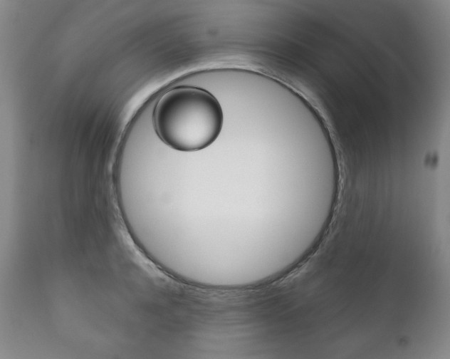 X0000111120944200906301038