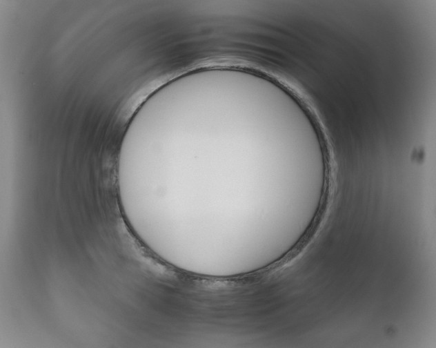 X0000111120945200906301038