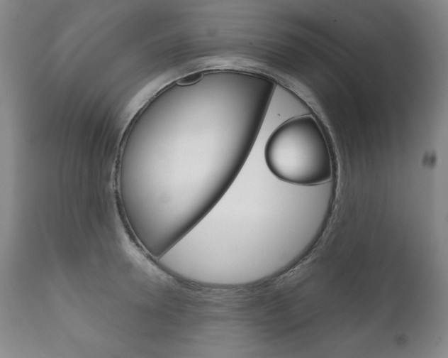 X0000111120946200906301038