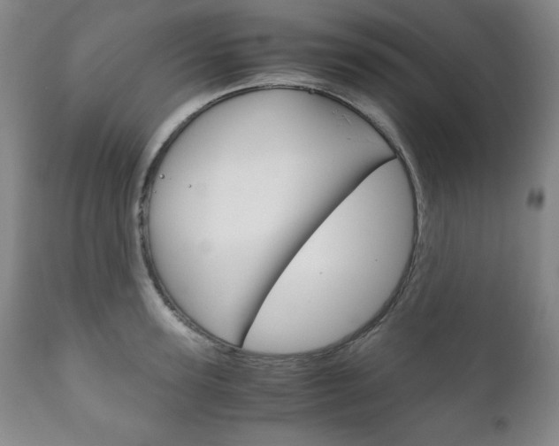 X0000111120947200906301038