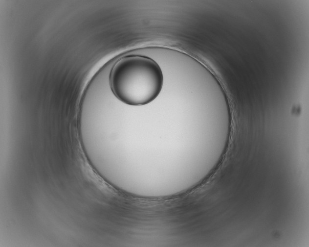X0000111120948200906301038