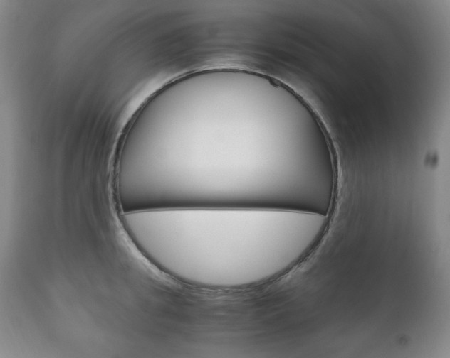 X0000111120949200906301038