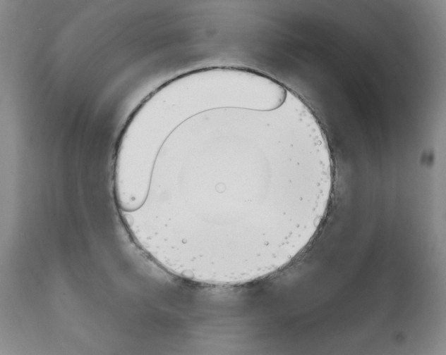 X0000111120950200906301038