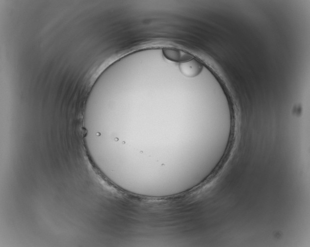 X0000111120953200906301038