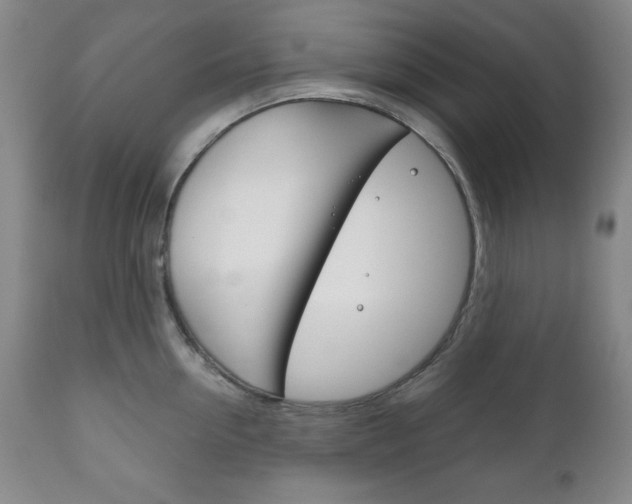 X0000111120954200906301038