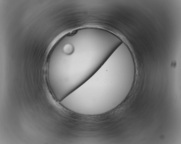 X0000111120955200906301038