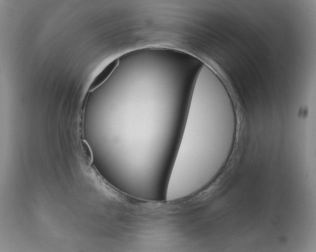 X0000111120956200906301038
