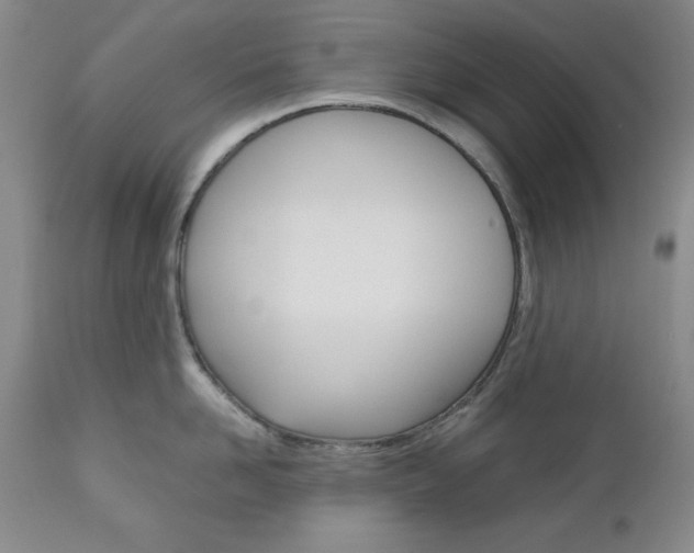 X0000111120958200906301038
