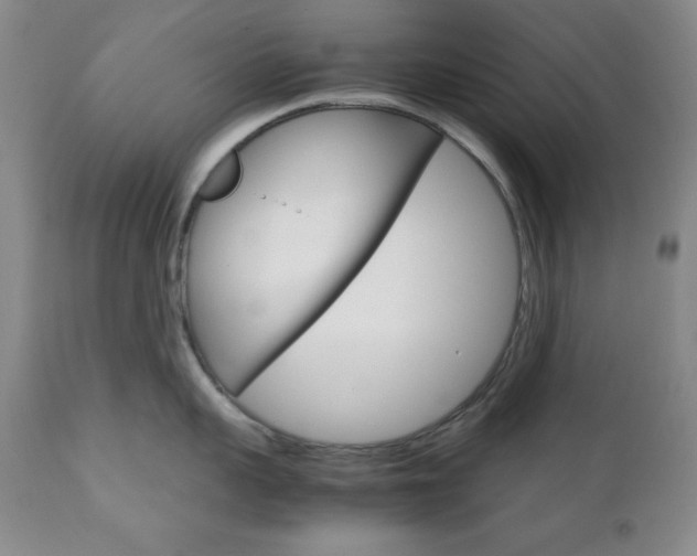 X0000111120959200906301038