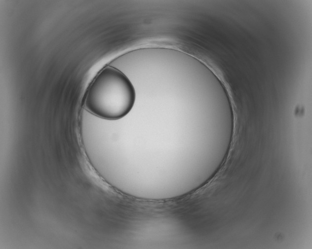 X0000111120960200906301038