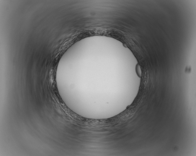 X0000111120962200906301038