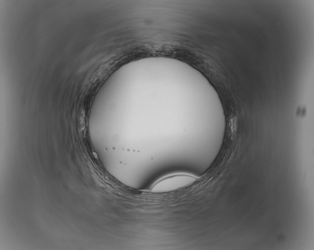 X0000111120963200906301038
