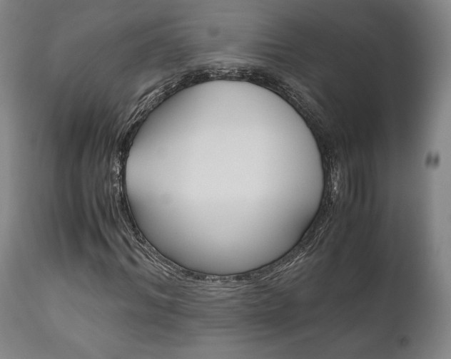 X0000111120964200906301038