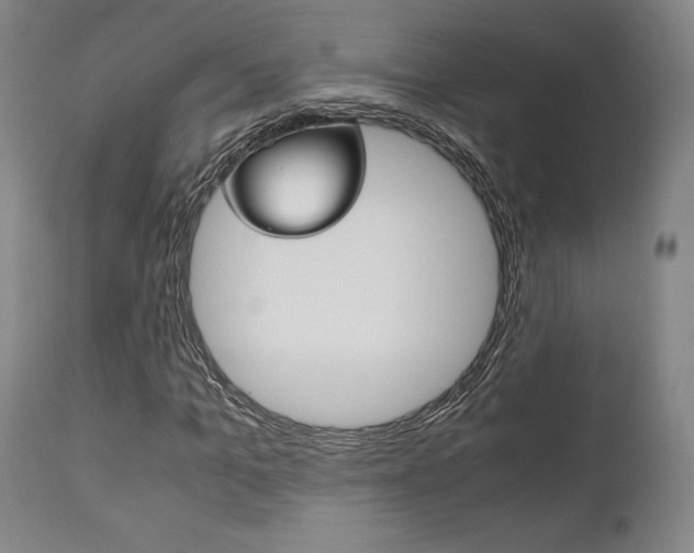 X0000111120965200906301038