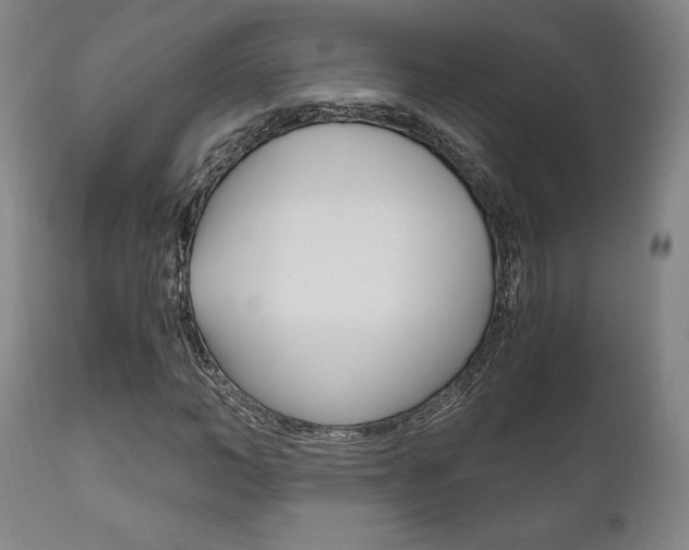 X0000111120966200906301038