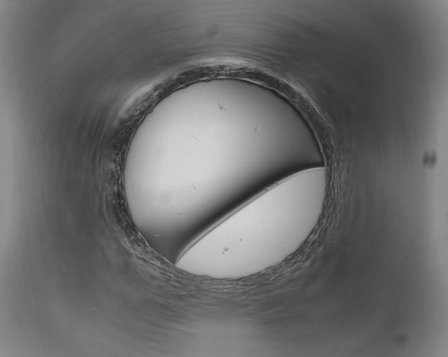 X0000111120967200906301038