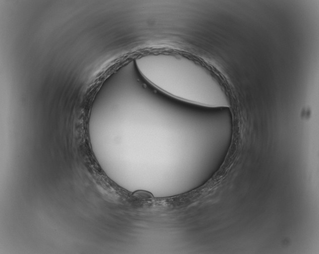 X0000111120968200906301038