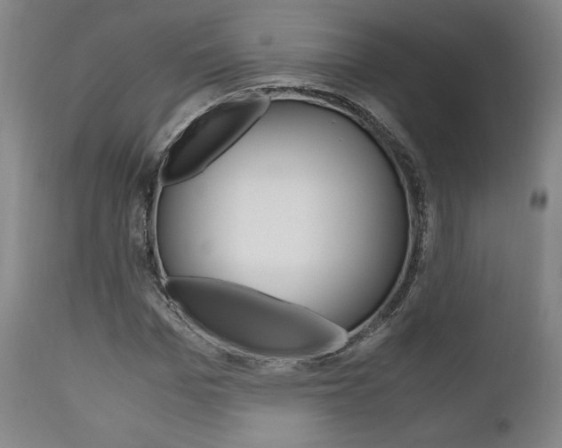 X0000111120969200906301038