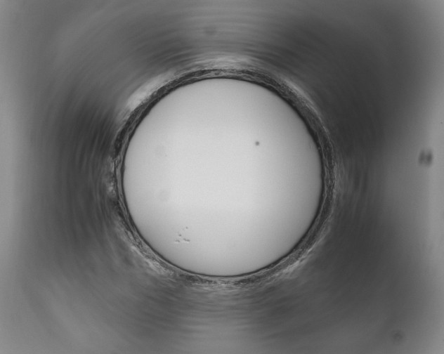 X0000111120970200906301038