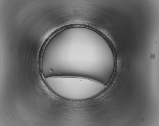 X0000111120972200906301038
