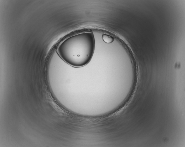 X0000111120973200906301038