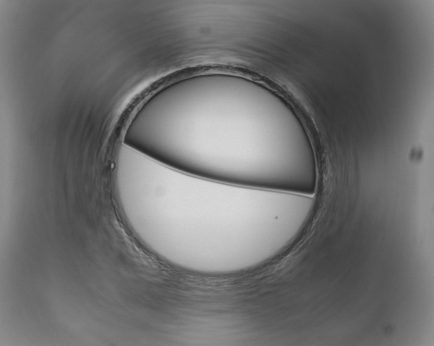 X0000111120975200906301037