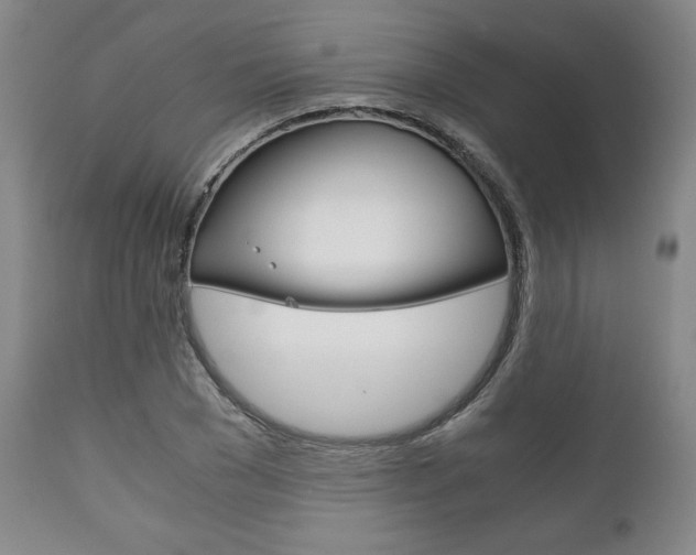 X0000111120977200906301037