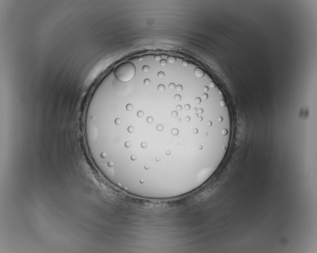 X0000111120978200906301037