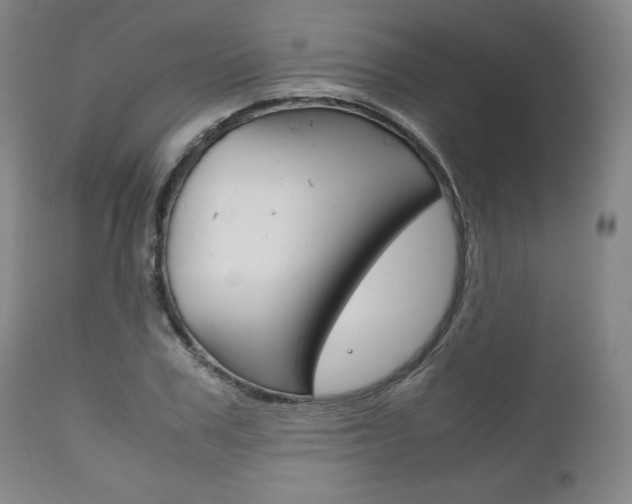 X0000111120979200906301037
