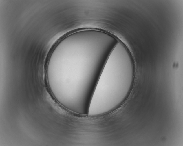 X0000111120980200906301037