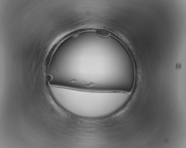 X0000111120981200906301037