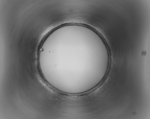 X0000111120982200906301037