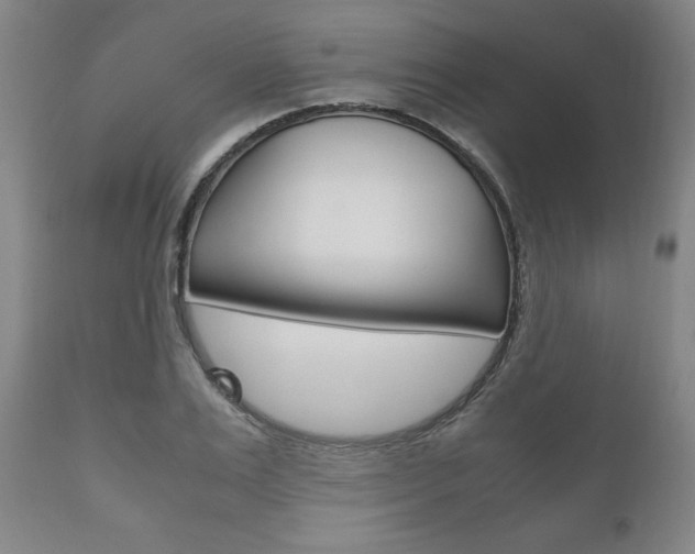 X0000111120983200906301037