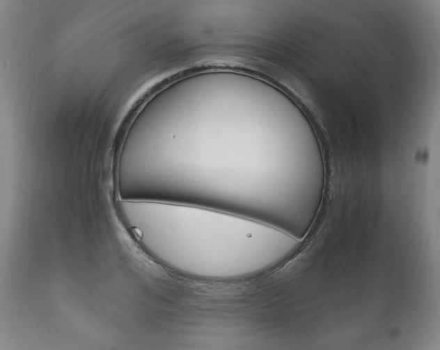 X0000111120984200906301037