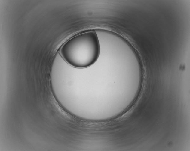 X0000111120985200906301037