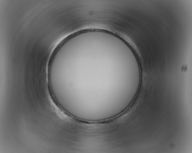 X0000111120988200906301037