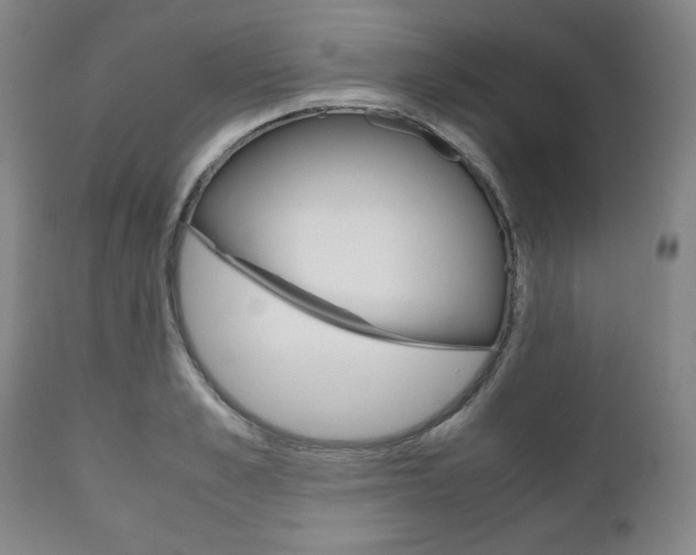 X0000111120989200906301037