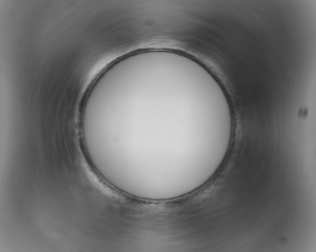 X0000111120990200906301037