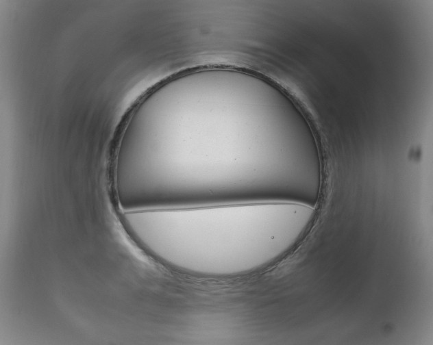 X0000111120991200906301037
