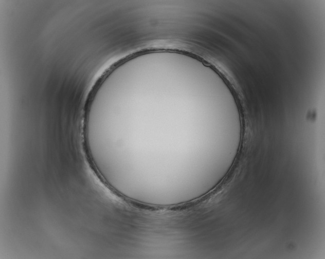 X0000111120992200906301037