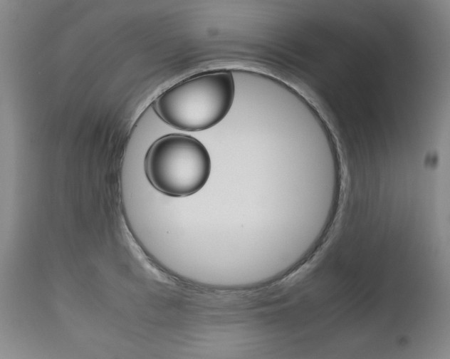 X0000111120993200906301037