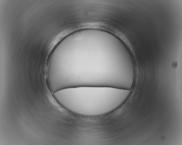 X0000111120994200906301037