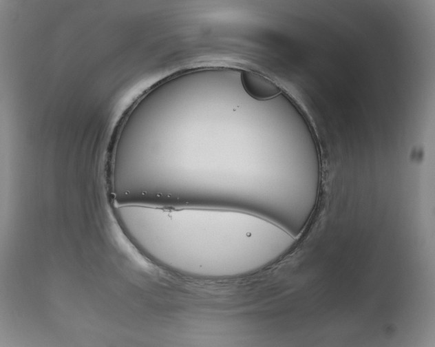 X0000111120995200906301037