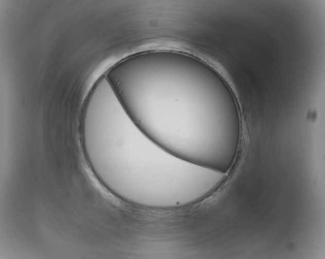 X0000111120997200906301037
